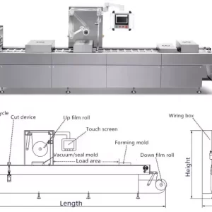 Vacuum thermoforming Machines